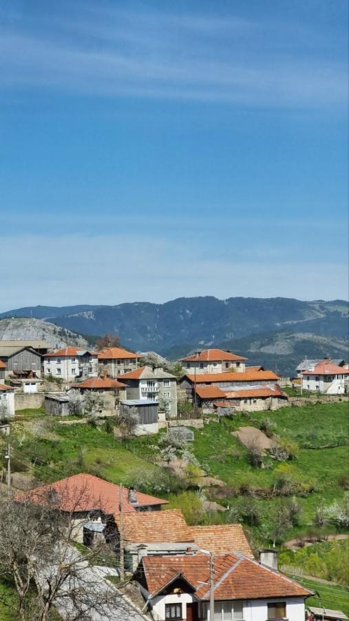 Родопска Къща За Гости С.Чала Chala Εξωτερικό φωτογραφία